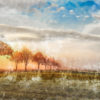 Herbst Wall Art