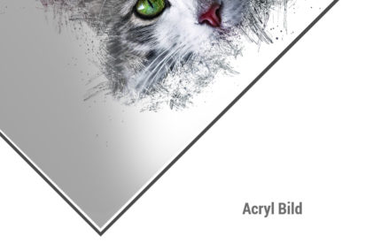 Acryl Bild Katze