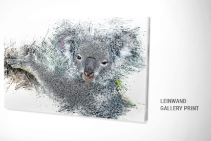 Leinwandbild Koala Bär