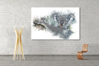 Koala Bär Gallery Print