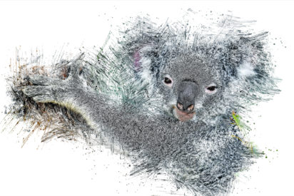 Koala Bär Ink Art Bild