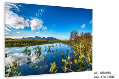 Lofoten Alu Dibond Bild