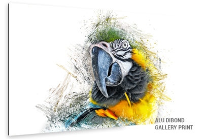 Alu Dibond Bild Papagei