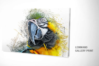 Leinwandbild Papagei