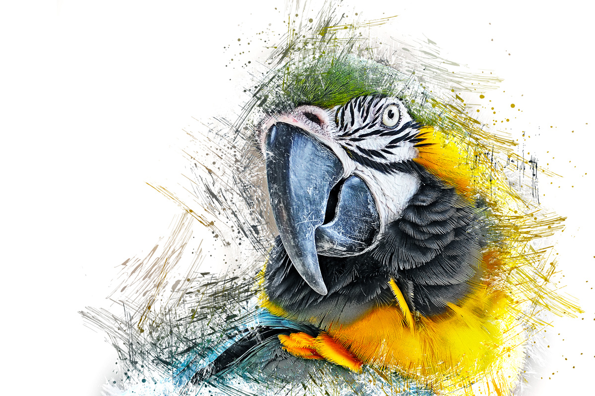 Papagei Ink Art - Kunstvolle Illustration von Mik Roge