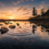 Sea Sunrise Wall Art