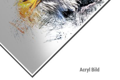 Acryl Bild Adler