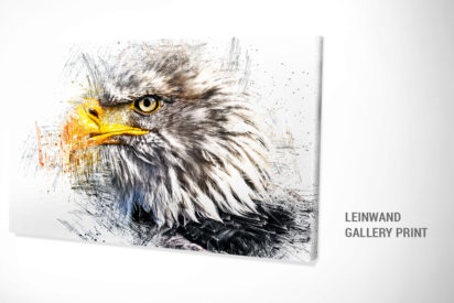 Leinwandbild Seeadler