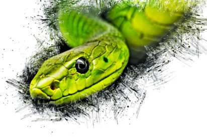 Snake Ink Art Bild