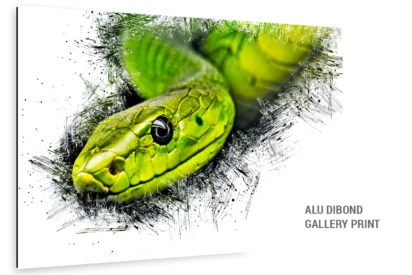Snake Alu Dibond Bild