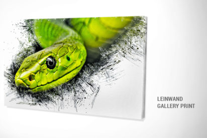 Leinwand Bild Snake