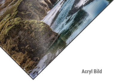 Acrylbild Highlands Bull Wall Art