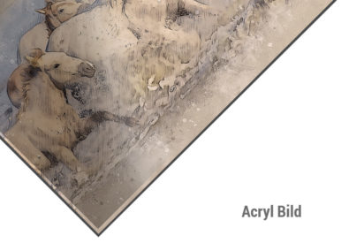 Acrylbild Wilspfere