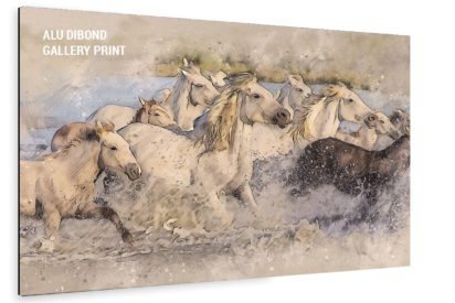 Alu Dibond Bild Wildperde