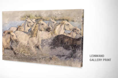 Wildperde Leinwand Bild