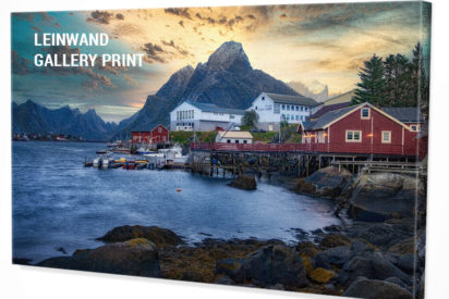 Canvas Wall Art Reine